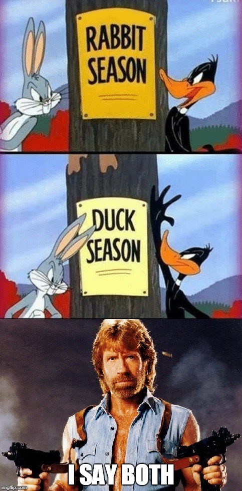 Chuck Norris Rabbit Season | I SAY BOTH | image tagged in chuck norris,memes,looney tunes,bugs bunny,daffy duck | made w/ Imgflip meme maker