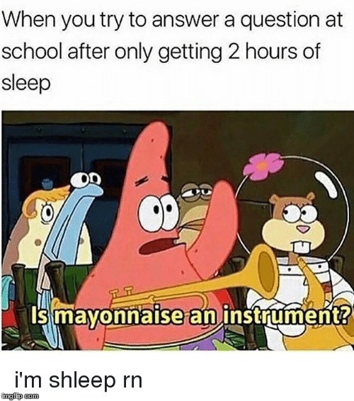 Is mayonnaise an insterment | image tagged in no patrick,funny memes | made w/ Imgflip meme maker