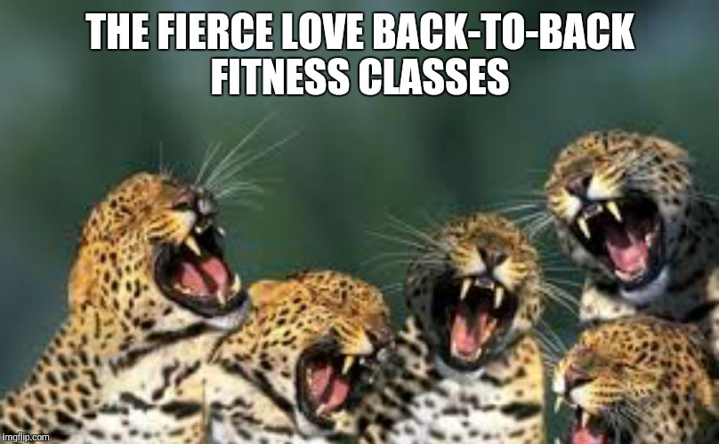 Fierce group fitness  | THE FIERCE LOVE BACK-TO-BACK FITNESS CLASSES | image tagged in fierce group fitness,gym,workout,fitness,fierce,exercise | made w/ Imgflip meme maker