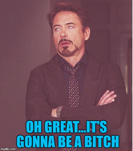 Face You Make Robert Downey Jr Meme | OH GREAT...IT'S GONNA BE A B**CH | image tagged in memes,face you make robert downey jr | made w/ Imgflip meme maker