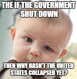 The government shut down? I sure didn't notice. | THE IF THE GOVERNMENT SHUT DOWN; THEN WHY HASN'T THE UNITED STATES COLLAPSED YET? | image tagged in memes,skeptical baby | made w/ Imgflip meme maker