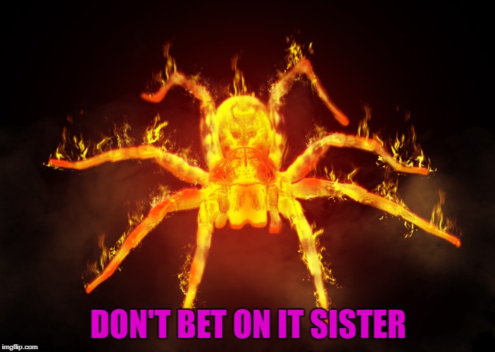 DON'T BET ON IT SISTER | made w/ Imgflip meme maker