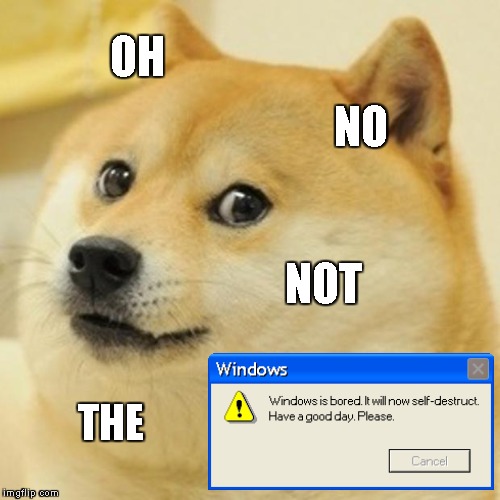 Doge Meme | OH; NO; NOT; THE | image tagged in memes,doge | made w/ Imgflip meme maker