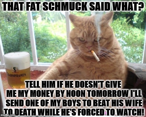 MAFIA THUG CAT | THAT FAT SCHMUCK SAID WHAT? TELL HIM IF HE DOESN'T GIVE ME MY MONEY BY NOON TOMORROW I'LL SEND ONE OF MY BOYS TO BEAT HIS WIFE TO DEATH WHILE HE'S FORCED TO WATCH! | image tagged in mafia thug cat | made w/ Imgflip meme maker