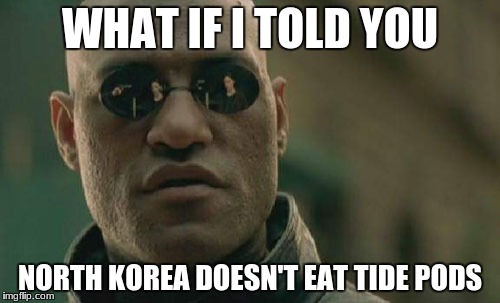 Matrix Morpheus Meme | WHAT IF I TOLD YOU; NORTH KOREA DOESN'T EAT TIDE PODS | image tagged in memes,matrix morpheus | made w/ Imgflip meme maker