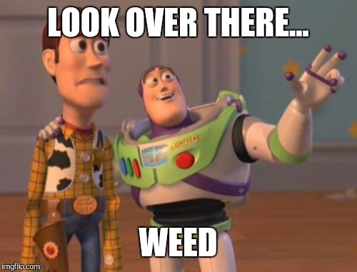 X, X Everywhere | LOOK OVER THERE... WEED | image tagged in memes,x x everywhere | made w/ Imgflip meme maker