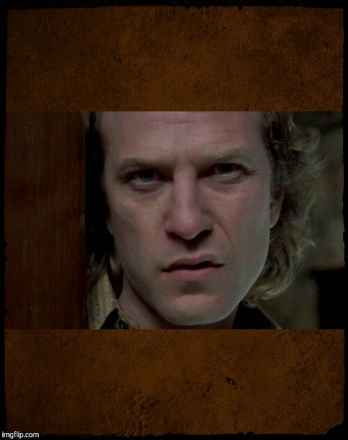Buffalo Bill, Are you serious?,,, | . | image tagged in buffalo bill are you serious?   | made w/ Imgflip meme maker
