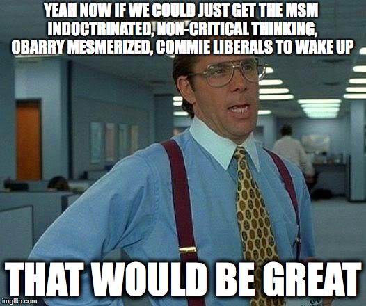 That Would Be Great Meme | YEAH NOW IF WE COULD JUST GET THE MSM INDOCTRINATED, NON-CRITICAL THINKING, OBARRY MESMERIZED, COMMIE LIBERALS TO WAKE UP THAT WOULD BE GREA | image tagged in memes,that would be great | made w/ Imgflip meme maker