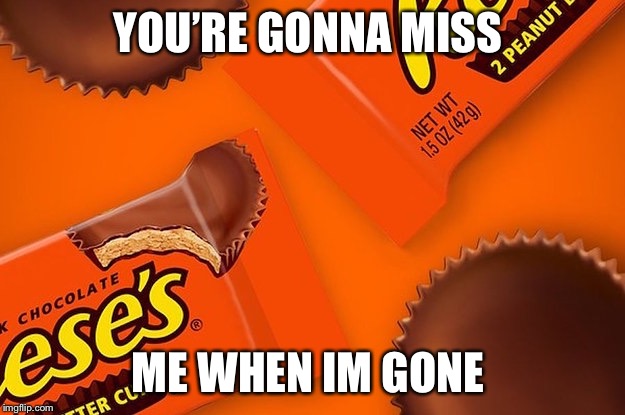 Reese's Cup | YOU’RE GONNA MISS; ME WHEN IM GONE | image tagged in reese's cup | made w/ Imgflip meme maker