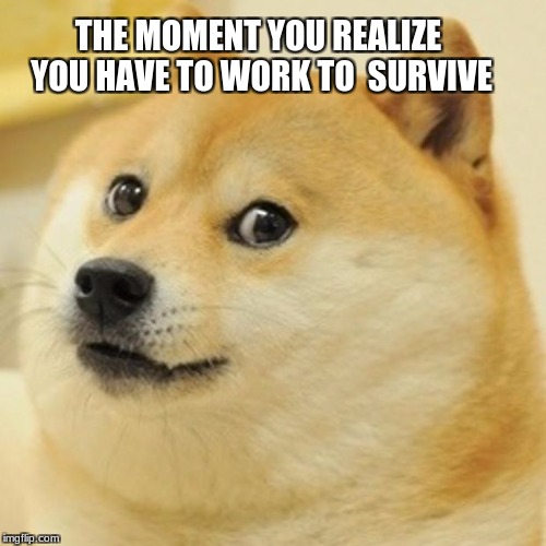 Doge | THE MOMENT YOU REALIZE YOU HAVE TO WORK TO  SURVIVE | image tagged in memes,doge | made w/ Imgflip meme maker