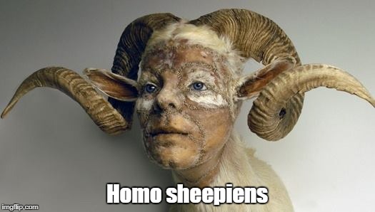 Homo sheepiens | made w/ Imgflip meme maker