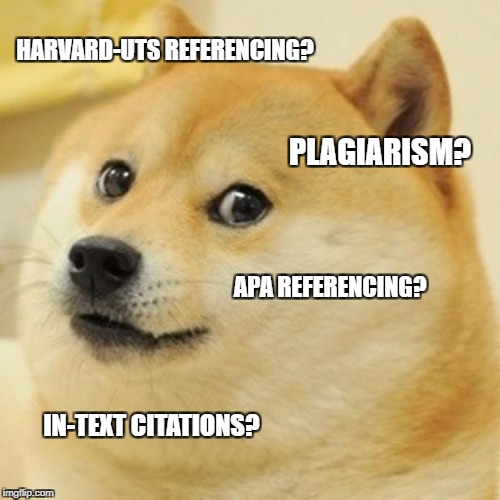 Doge Meme | HARVARD-UTS REFERENCING? PLAGIARISM? APA REFERENCING? IN-TEXT CITATIONS? | image tagged in memes,doge | made w/ Imgflip meme maker