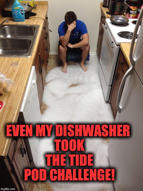 When dishwasher succumb to peer pressure... | EVEN MY DISHWASHER TOOK THE TIDE POD CHALLENGE! | image tagged in tide pod challenge,dishwasher,peer pressure | made w/ Imgflip meme maker