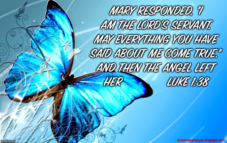 blue butterfly | MARY RESPONDED, "I AM THE LORD'S SERVANT. MAY EVERYTHING YOU HAVE SAID ABOUT ME COME TRUE." AND THEN THE ANGEL LEFT HER
              LUKE 1:38 | image tagged in blue butterfly | made w/ Imgflip meme maker
