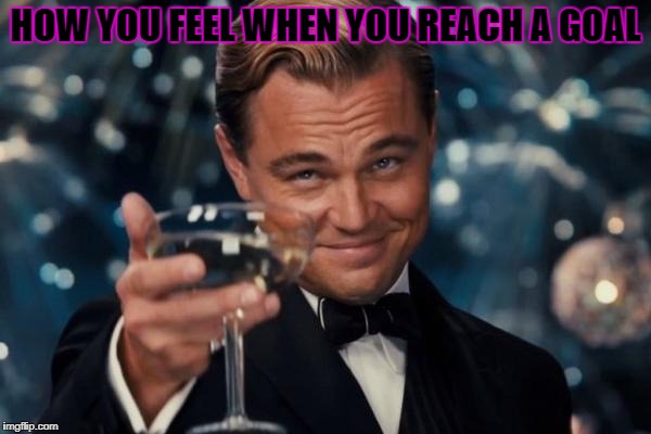 Leonardo Dicaprio Cheers Meme | HOW YOU FEEL WHEN YOU REACH A GOAL | image tagged in memes,leonardo dicaprio cheers | made w/ Imgflip meme maker