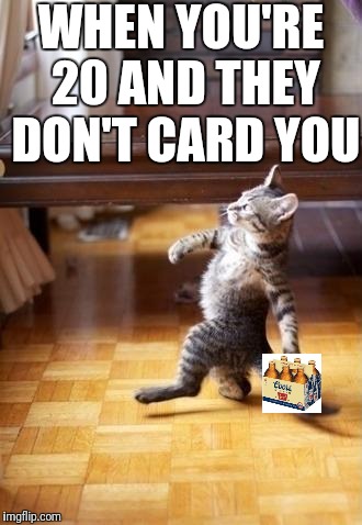 Cool Cat Stroll | WHEN YOU'RE 20 AND THEY DON'T CARD YOU | image tagged in memes,cool cat stroll | made w/ Imgflip meme maker