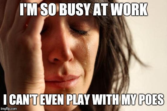 First World Problems | I'M SO BUSY AT WORK; I CAN'T EVEN PLAY WITH MY POES | image tagged in memes,first world problems | made w/ Imgflip meme maker