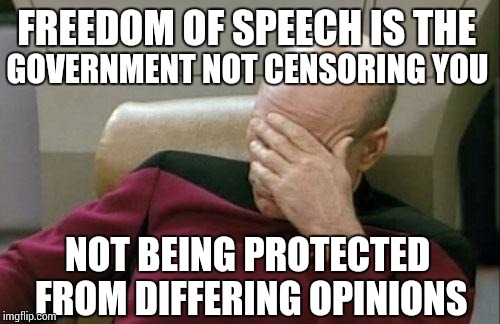 Captain Picard Facepalm Meme | FREEDOM OF SPEECH IS THE GOVERNMENT NOT CENSORING YOU NOT BEING PROTECTED FROM DIFFERING OPINIONS | image tagged in memes,captain picard facepalm | made w/ Imgflip meme maker