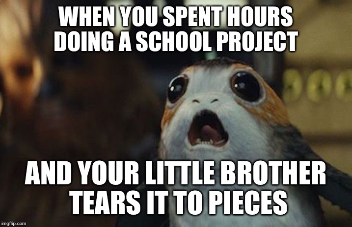 Star Wars Porg | WHEN YOU SPENT HOURS DOING A SCHOOL PROJECT; AND YOUR LITTLE BROTHER TEARS IT TO PIECES | image tagged in star wars porg | made w/ Imgflip meme maker