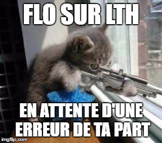 Cat Sniper | FLO SUR LTH; EN ATTENTE D'UNE ERREUR DE TA PART | image tagged in cat sniper | made w/ Imgflip meme maker