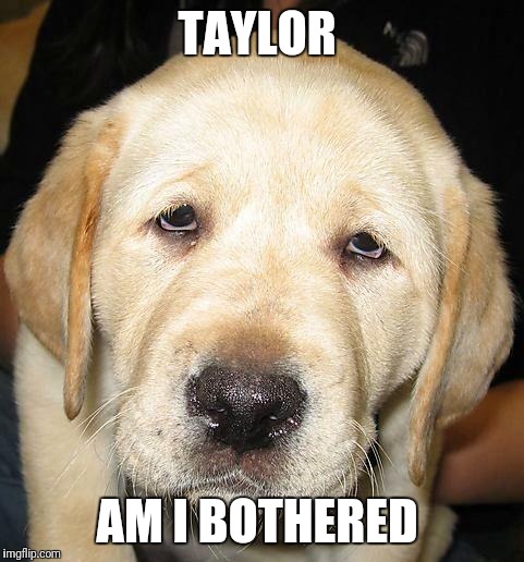 Do I Look Bothered | TAYLOR; AM I BOTHERED | image tagged in do i look bothered | made w/ Imgflip meme maker