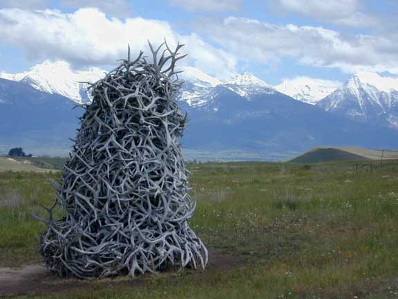 Deer antler Blank Meme Template