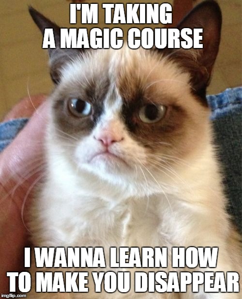 A-Grumpy-Cat-Dabra | I'M TAKING A MAGIC COURSE; I WANNA LEARN HOW TO MAKE YOU DISAPPEAR | image tagged in memes,grumpy cat,magic,disappear,grumpy cat insults,a magician never reveals his tricks | made w/ Imgflip meme maker