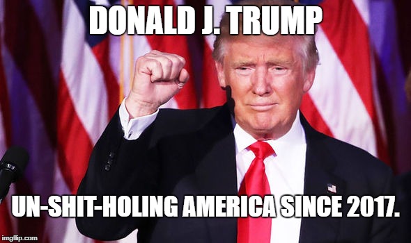 The undisputed, Stock market Heavyweight Champion of the USA
 | DONALD J. TRUMP; UN-SHIT-HOLING AMERICA SINCE 2017. | image tagged in donald trump,donald trump approves,trump,president trump,make america great again | made w/ Imgflip meme maker