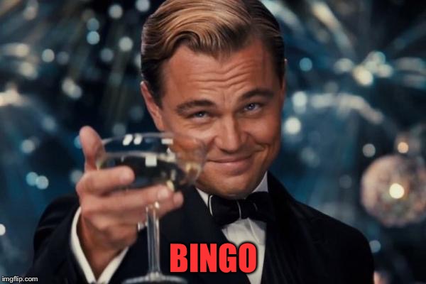 Leonardo Dicaprio Cheers Meme | BINGO | image tagged in memes,leonardo dicaprio cheers | made w/ Imgflip meme maker