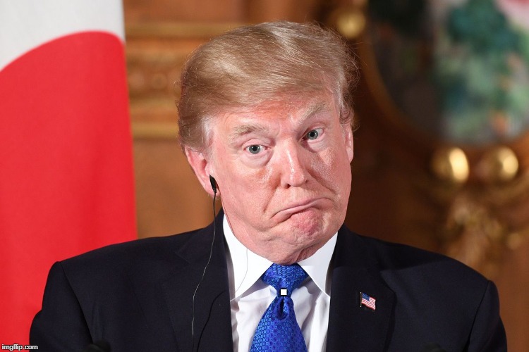 Trump dumbfounded | . | image tagged in trump dumbfounded | made w/ Imgflip meme maker