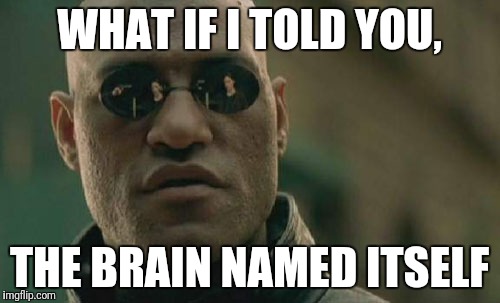 Mind Blown | WHAT IF I TOLD YOU, THE BRAIN NAMED ITSELF | image tagged in memes,matrix morpheus | made w/ Imgflip meme maker