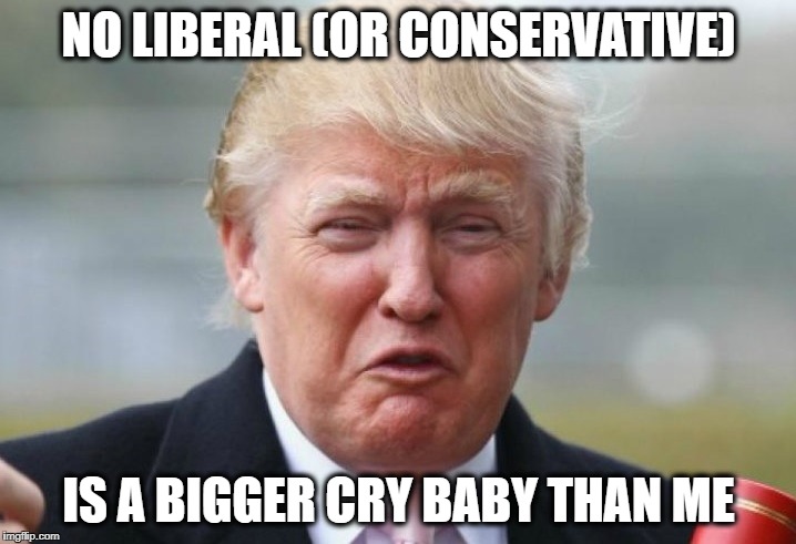 Trump Crybaby | NO LIBERAL (OR CONSERVATIVE) IS A BIGGER CRY BABY THAN ME | image tagged in trump crybaby | made w/ Imgflip meme maker