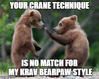 ninja bears | YOUR CRANE TECHNIQUE; IS NO MATCH FOR MY KRAV BEARPAW STYLE | image tagged in ninja bears | made w/ Imgflip meme maker