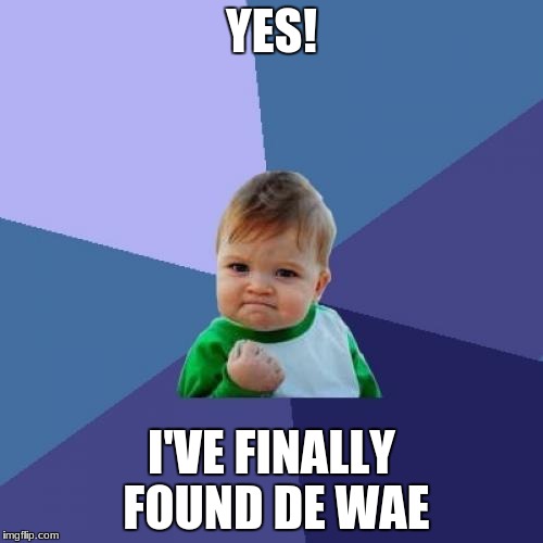 Success Kid Meme | YES! I'VE FINALLY FOUND DE WAE | image tagged in memes,success kid | made w/ Imgflip meme maker