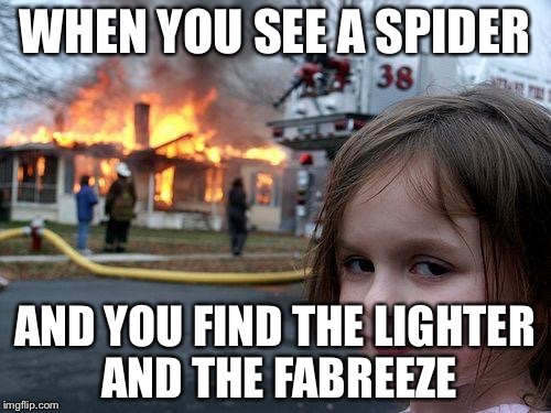 Disaster Girl | WHEN YOU SEE A SPIDER; AND YOU FIND THE LIGHTER AND THE FABREEZE | image tagged in memes,disaster girl | made w/ Imgflip meme maker