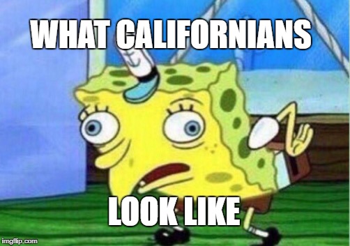 Mocking Spongebob | WHAT CALIFORNIANS; LOOK LIKE | image tagged in memes,mocking spongebob | made w/ Imgflip meme maker