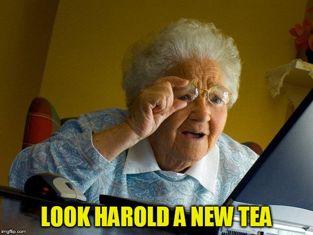 Grandma Finds The Internet Meme | LOOK HAROLD A NEW TEA | image tagged in memes,grandma finds the internet | made w/ Imgflip meme maker