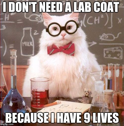 Science Cat | I DON'T NEED A LAB COAT; BECAUSE I HAVE 9 LIVES | image tagged in science cat | made w/ Imgflip meme maker