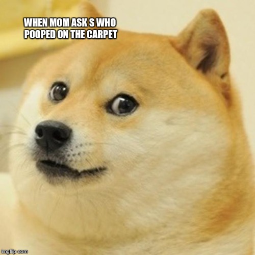 Doge Meme | WHEN MOM ASK S WHO POOPED ON THE CARPET | image tagged in memes,doge | made w/ Imgflip meme maker