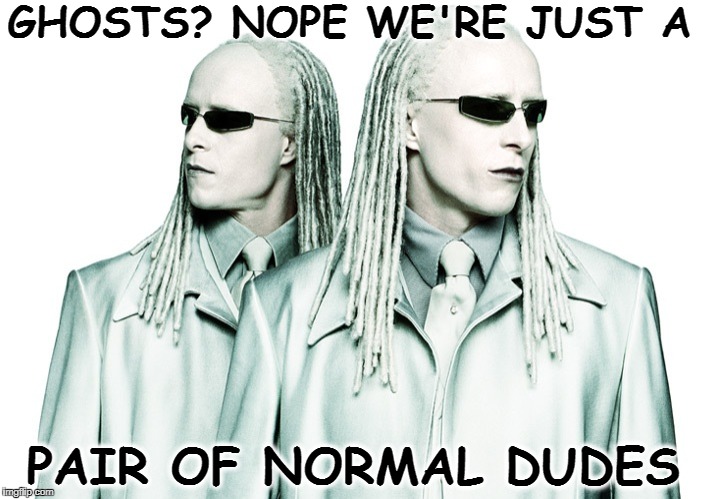 Matrix xirtaM  re-reloaded ghost tsohg twins twins  | GHOSTS? NOPE WE'RE JUST A; PAIR OF NORMAL DUDES | image tagged in ghost week,the matrix,ghost,memes,funny | made w/ Imgflip meme maker