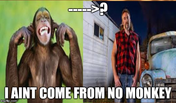 I aint no monkey | ----->? I AINT COME FROM NO MONKEY | image tagged in evolution,memes | made w/ Imgflip meme maker