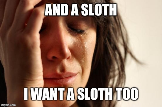 First World Problems Meme | AND A SLOTH I WANT A SLOTH TOO | image tagged in memes,first world problems | made w/ Imgflip meme maker