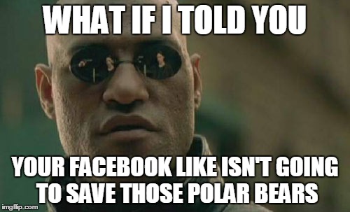 Matrix Morpheus | WHAT IF I TOLD YOU; YOUR FACEBOOK LIKE ISN'T GOING TO SAVE THOSE POLAR BEARS | image tagged in memes,matrix morpheus | made w/ Imgflip meme maker