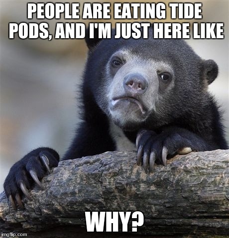 Confession Bear Meme | PEOPLE ARE EATING TIDE PODS, AND I'M JUST HERE LIKE; WHY? | image tagged in memes,confession bear | made w/ Imgflip meme maker