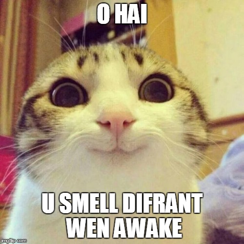 Smiling Cat | O HAI; U SMELL DIFRANT WEN AWAKE | image tagged in memes,smiling cat | made w/ Imgflip meme maker