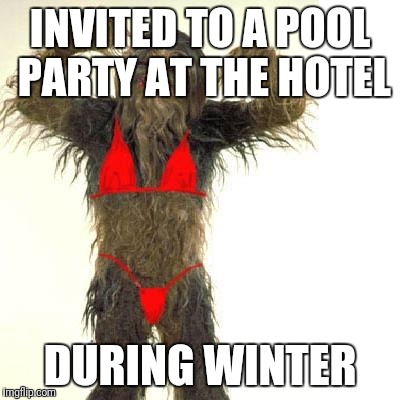 sexy wookie | INVITED TO A POOL PARTY AT THE HOTEL; DURING WINTER | image tagged in sexy wookie | made w/ Imgflip meme maker