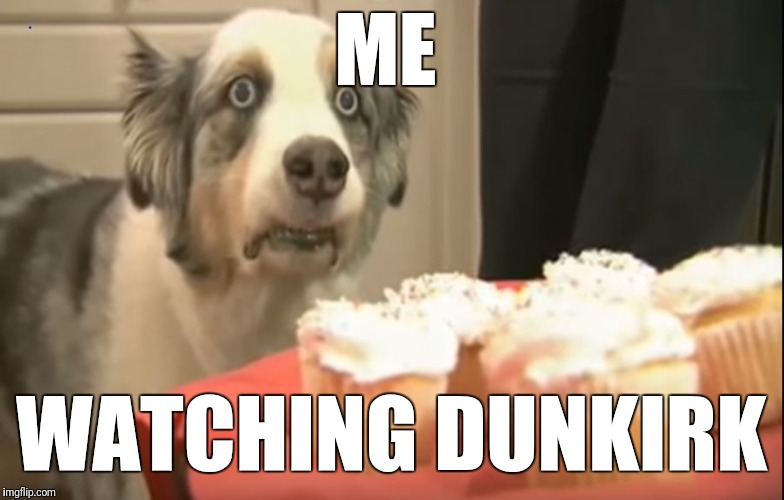 intense dog | ME; WATCHING DUNKIRK | image tagged in intense dog | made w/ Imgflip meme maker
