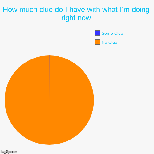 How much clue do I have with what I'm doing right now | No Clue, Some Clue | image tagged in funny,pie charts | made w/ Imgflip chart maker