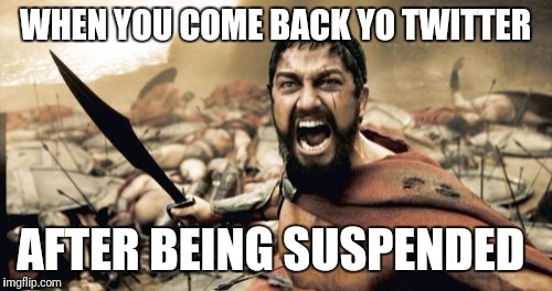 Sparta Leonidas Meme | WHEN YOU COME BACK YO TWITTER; AFTER BEING SUSPENDED | image tagged in memes,sparta leonidas | made w/ Imgflip meme maker