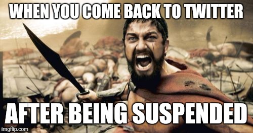 Sparta Leonidas Meme | WHEN YOU COME BACK TO TWITTER; AFTER BEING SUSPENDED | image tagged in memes,sparta leonidas | made w/ Imgflip meme maker